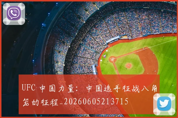 UFC 中国力量:中国选手征战八角笼的征程_20260605213715